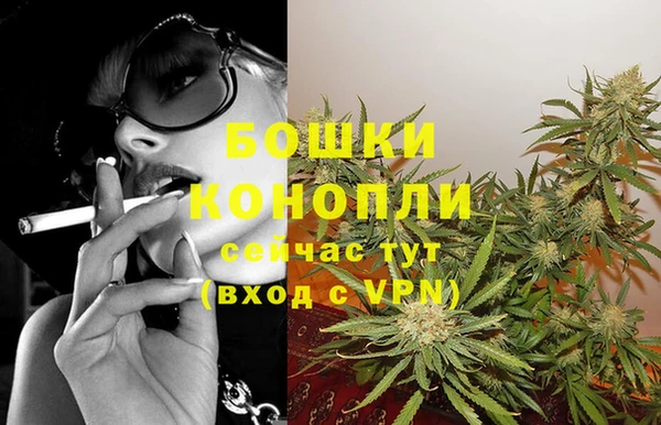 дживик Аркадак