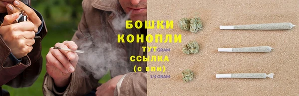 ECSTASY Армянск