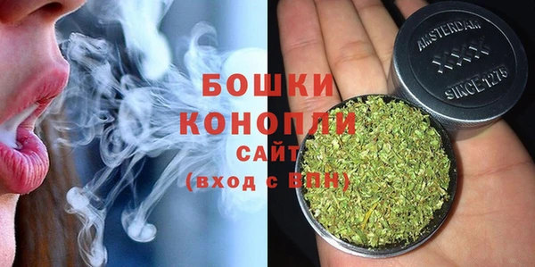 дживик Аркадак