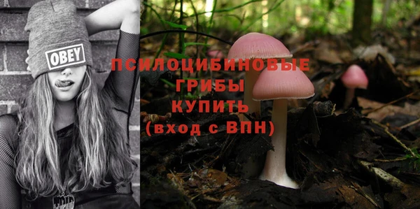 ECSTASY Армянск