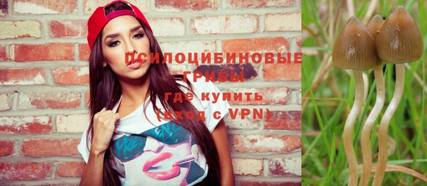 дживик Аркадак