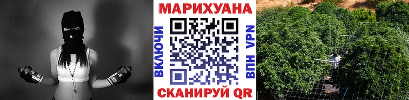 где купить наркоту  Моршанск  Конопля марихуана 